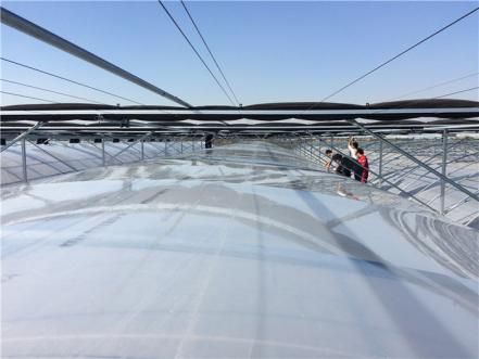 当代薄膜温室有哪些优点以及发展趋势