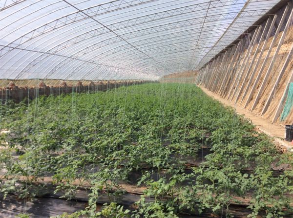 讲一讲薄膜温室的防水技术