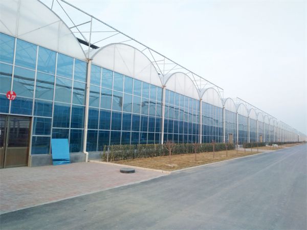 冬暖大棚的一些知识点